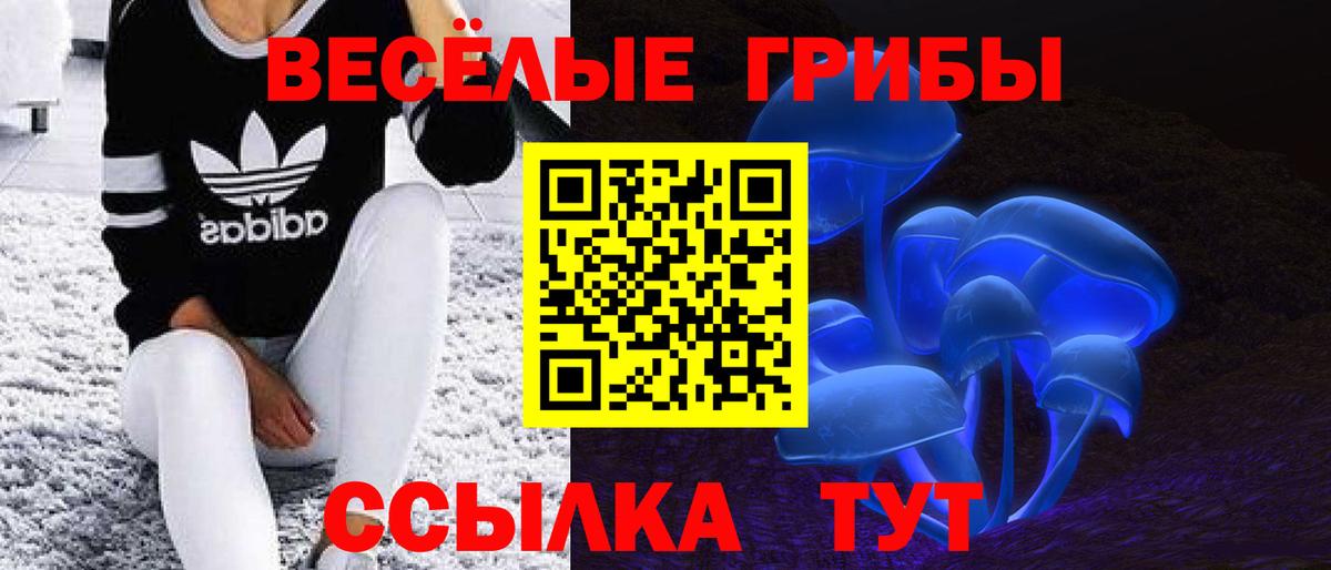 наркотики  Псилоцибиновые грибы Cubensis  Псилоцибиновые грибы Cubensis  Вход с VPN  Карпинск 